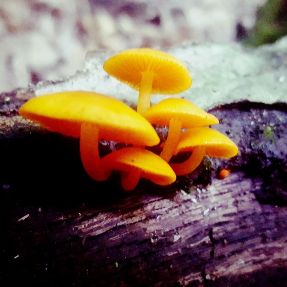 Hey there! My name is Sara. - Picture 4 of 4